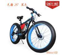 沙灘自行車產(chǎn)品庫(kù)