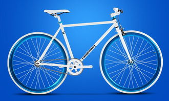 死飛自行車(chē) 百科