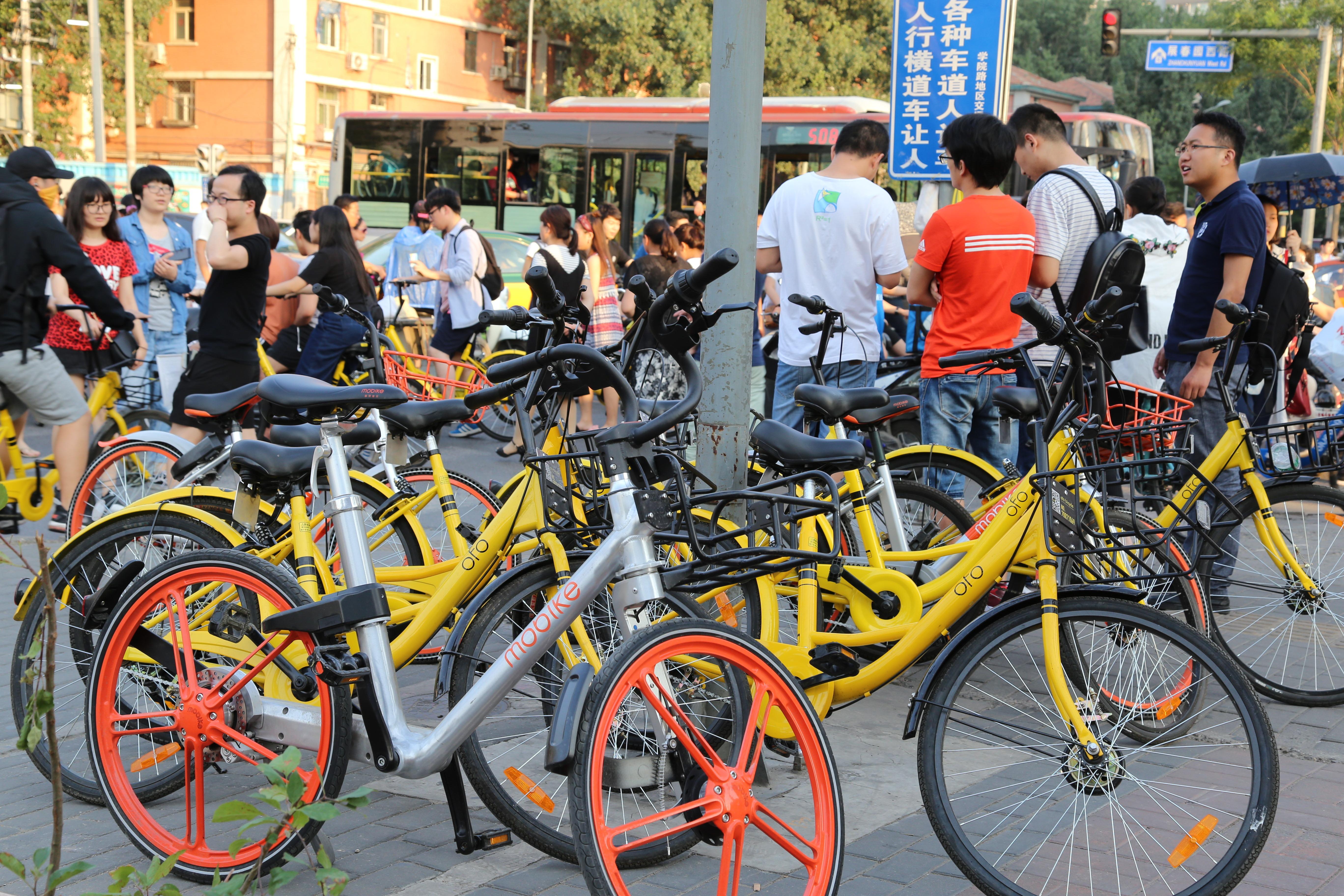 城市里的"搬運工":共享單車調度員